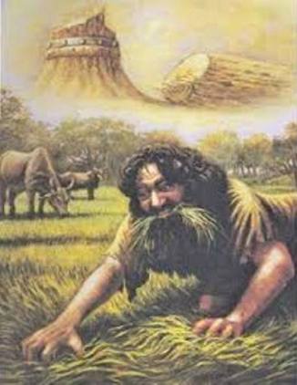 Daniel_4d.225233629_std