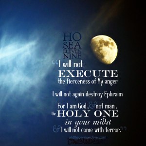 hos-11-9-ww-unsplash-9x