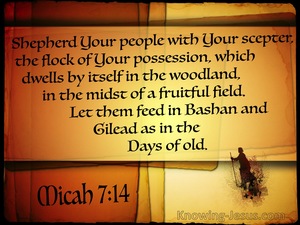 Micah 7-14 Shepherd Your People brown