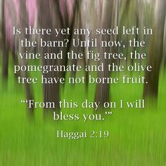 haggai 2-19