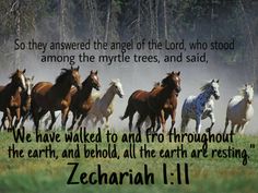 zechariah 1-11