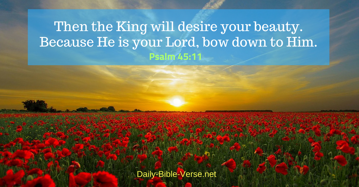 破格！WILL KING / YOU'RE MY WOMAN モダンソウル